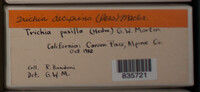 Image Associated With the Occurence